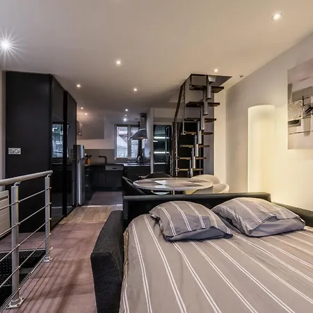 Appartement Le Grand Duplex Du *